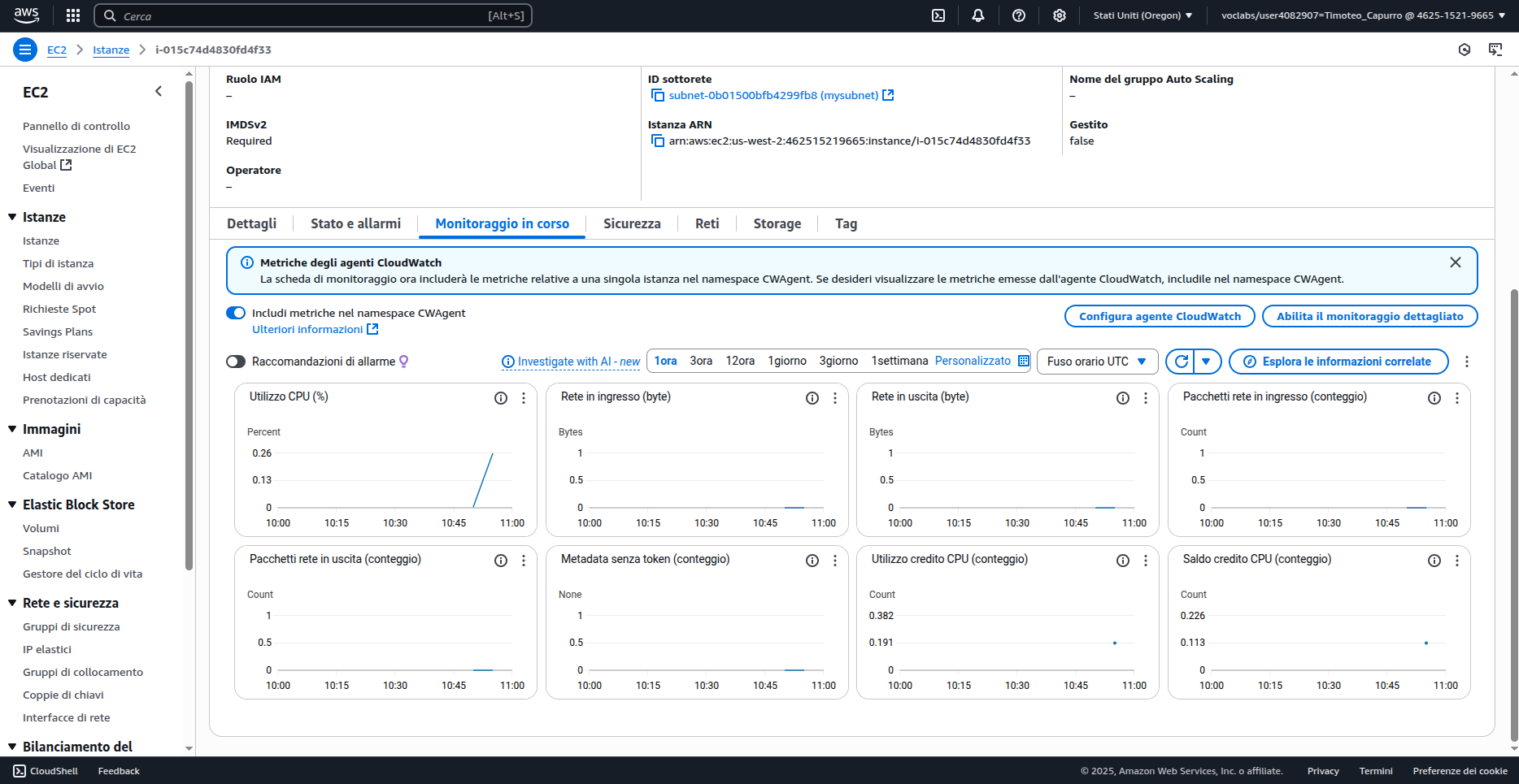 Monitoraggio in tempo reale con CloudWatch