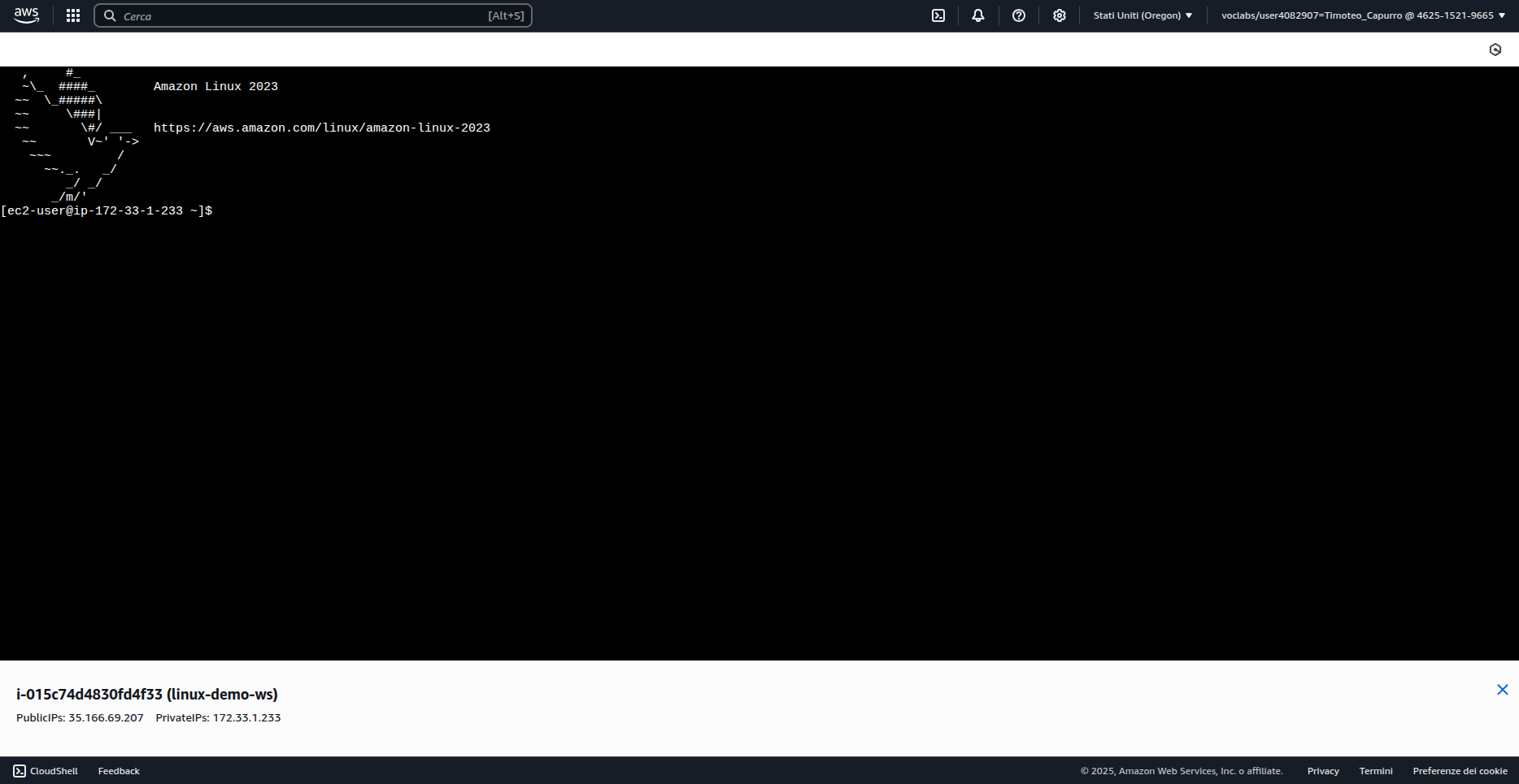 Opzioni di connessione EC2: browser o SSH